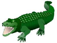 Crocodile