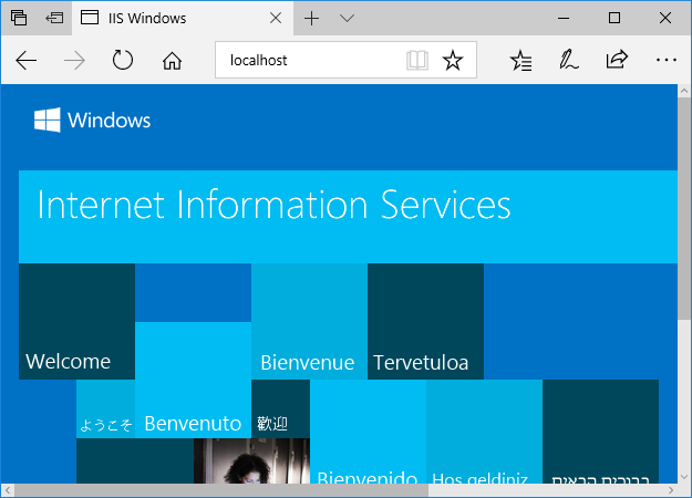 IIS Running in Windows