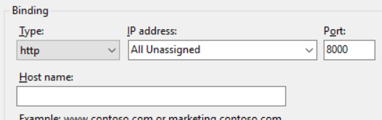 IIS Port Binding