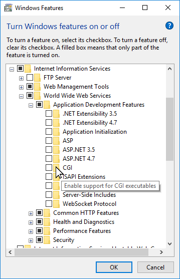 Install IIS with Windows Features